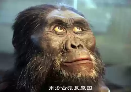 无限世界进化史(无限恐怖之新的崛起)插图9