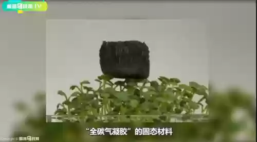 龙真身吓人图片(真龙附体的症状)插图19