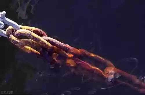 人在航海-签到三年(大航海:海军总部签到十年笔趣阁)插图9 人在航海-签到三年(大航海:海军总部签到十年笔趣阁)插图9