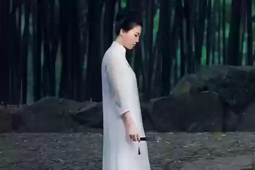 九阴真经断情七绝为什么改名(九阴真经极乐断情)插图3