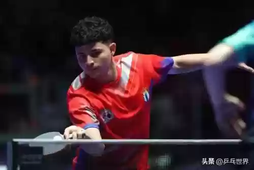 世乒赛中国排阵阵容(国乒单打世界杯7人进8强)插图19