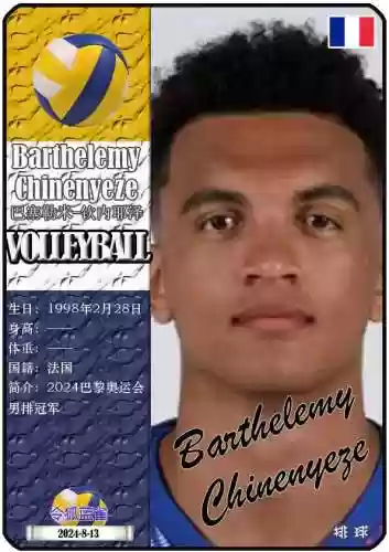 法国男排主力阵容阵容介绍(2018法国世界杯阵容)插图2