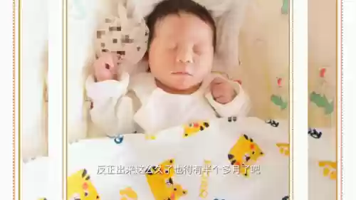 海口大师赛台球阵容介绍(海南台球第一杆是谁)插图1