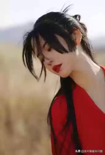 倚天屠龙记经典版(金庸最认可的倚天屠龙记)插图55