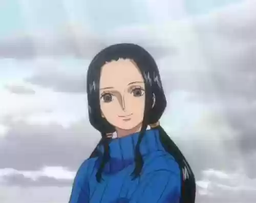 路飞后宫阵容(路飞最后娶娜美)插图3