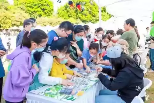 深圳公园文化季阵容(深圳的公园人气排行榜)插图16