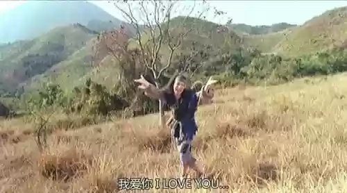 神仙阵容东成西就(王者荣耀西天取经阵容)插图53