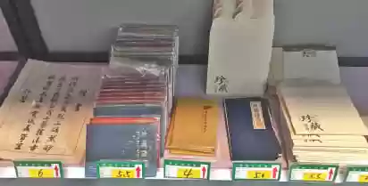 冒险之地枪手宠物阵容(女枪手二觉宠物图片)插图3 冒险之地枪手宠物阵容(女枪手二觉宠物图片)插图3