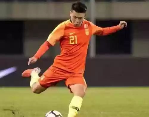 绿城队主力阵容对比(绿城和万科哪个品质高)插图11