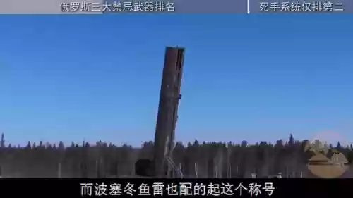 俄罗斯武器(俄罗斯有什么厉害的武器)插图2