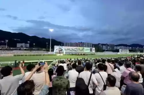 香港最新马会公布消息(香港马会速势能量官方网)插图6