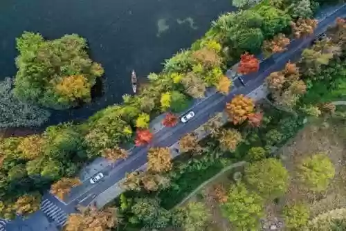 樱花校园2021更新版正版在哪下(樱花校园怎么怀孕)插图9