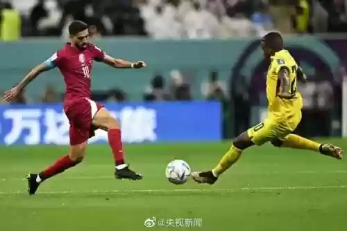 打战斗地铁的阵容(大吾的精灵阵容)插图2