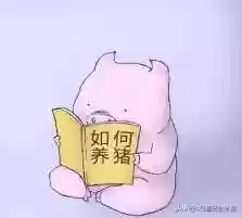 坦克阵容养猪(打养猪流什么阵容最好)插图2
