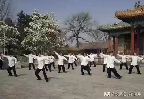 秦时明月手游公益服(秦时明月手游无限元宝满v版)插图8 秦时明月手游公益服(秦时明月手游无限元宝满v版)插图8