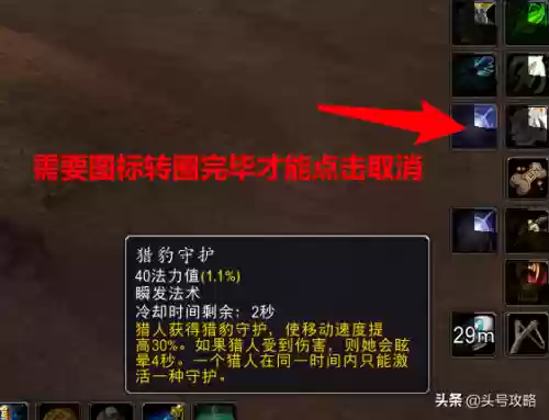 魔兽世界怀旧服猎人宏(猎人最实用的宏合集)插图10