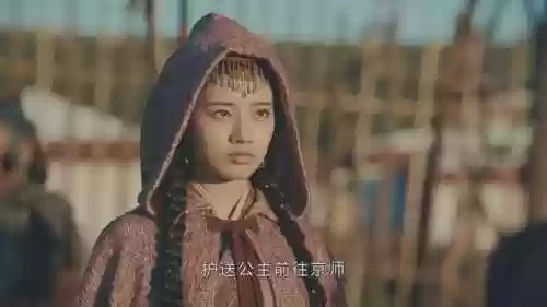 山河月明演员阵容有多强大(演员阵容最强大的电视剧)插图3