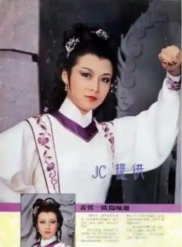老版神雕侠侣83版电视剧(神雕侠侣83版免费观看粤语)插图47