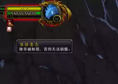 魔兽世界猎人灵魂兽大全(魔兽稀有宠物大全带图)