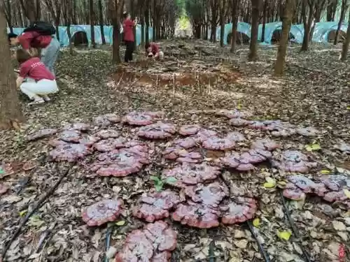 中医医生阵容(中医临床科室有哪些)插图13