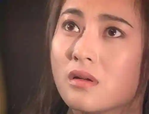 杨玉环的三港版1995(大唐美女杨贵妃三㚫是谁演的)插图9