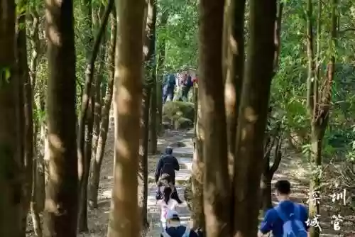 深圳公园文化季阵容(深圳的公园人气排行榜)插图22