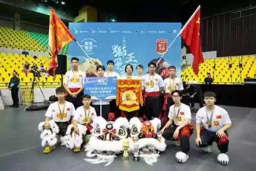 亚洲狮王阵容(泰加动物园狮子阵营)插图4