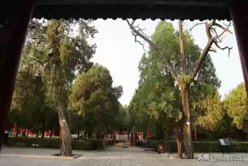 网游之天下第一村(十大公认神级网游小说)插图5