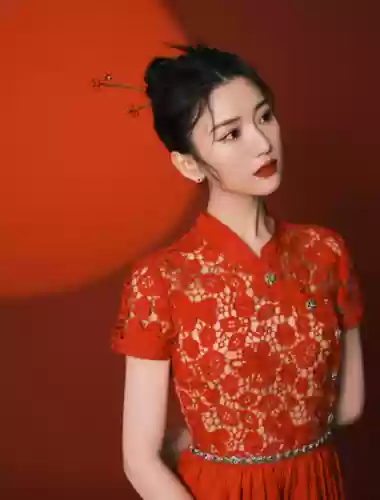 春晚阵容衣服(春节联欢晚会同款衣服图片)插图5