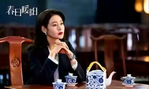暖阳之下的演员阵容(一念关山演员表)插图4
