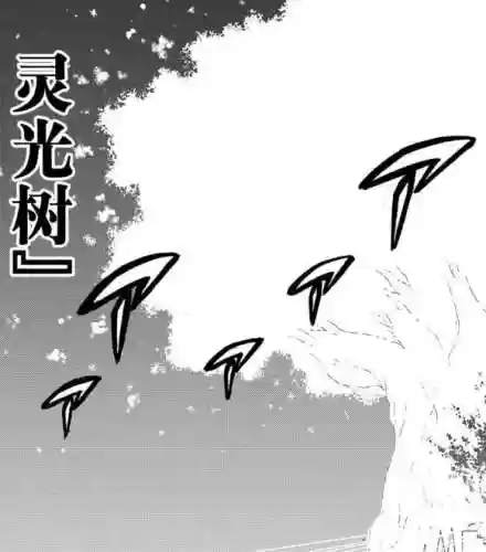 魔眼精灵阵容(口袋觉醒妖精队阵容)插图3