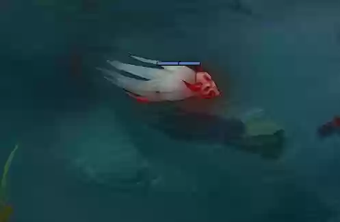 腥红之月卡莉丝塔(lol卡莉丝塔背景故事)插图8