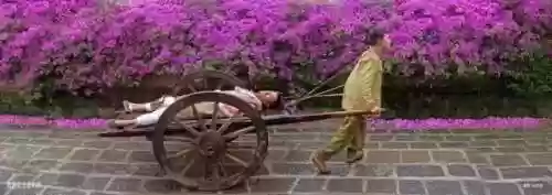 热门电视剧排行榜前十名(国产电视排行榜)插图23