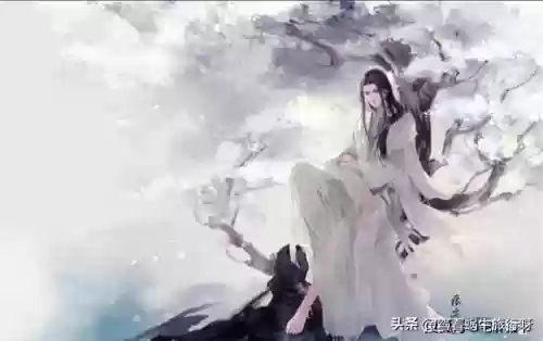 家族修仙从小家族到绝世仙族(修仙林氏家族崛起)插图4