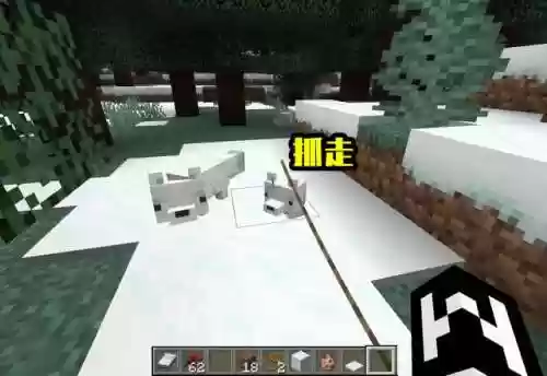 我的世界狐狸怎么驯服(我的世界驯服宠物大全表)插图4