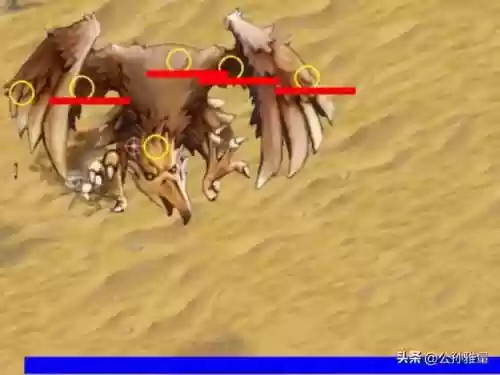 武林群侠传单机攻略(武林群侠传大地图任务流程)插图9