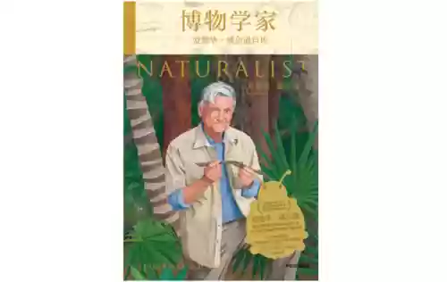 强大的阵容震撼人心的词语(形容阵容强大的句子)插图1