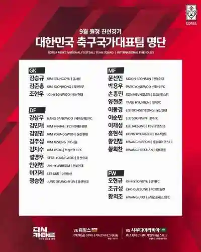 韩国现役阵容队伍(韩国国家队主力阵容)