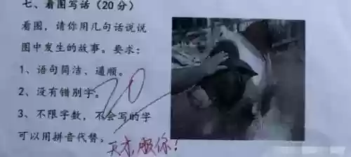 自己安慰看的短文(自我安抚小花园作文)插图7