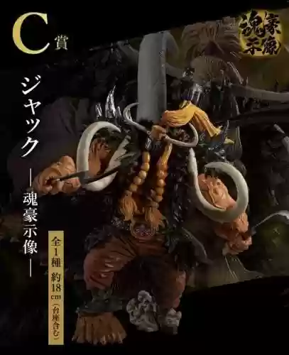 雷鸣和阵容(雷电将军搭配什么阵容)插图4