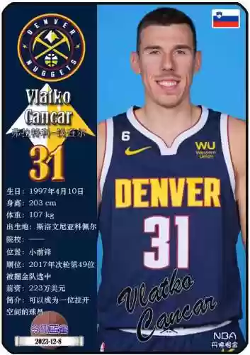 历年掘金队阵容(辽宁男篮历史所有队员)插图2