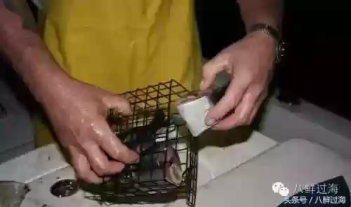 波士顿龙虾(波士顿龙虾的做法清蒸几分钟)插图12