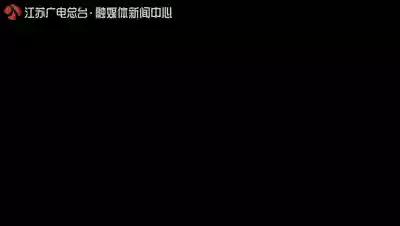 神兽是什么意思(神兽在家文案幽默句子)插图4
