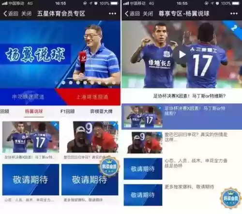 2017申花出场阵容(上海申花1995阵容)插图19