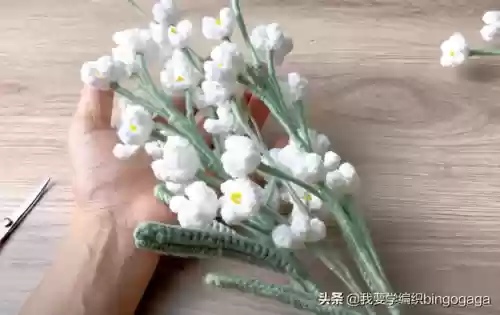 满天星花束(满天星花语及寓意)插图33