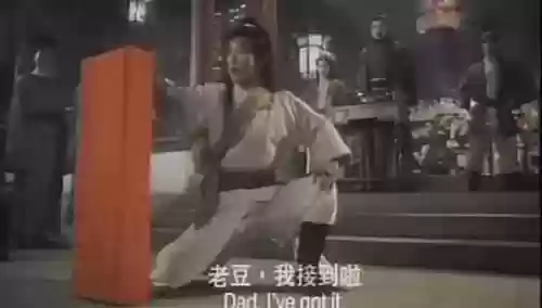 林青霞午马阵容(午马演员)插图7