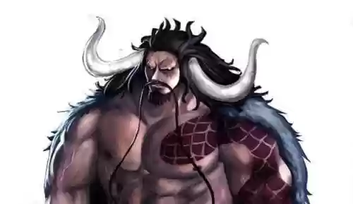 洛克斯海贼团成员(洛克斯人物介绍)插图3