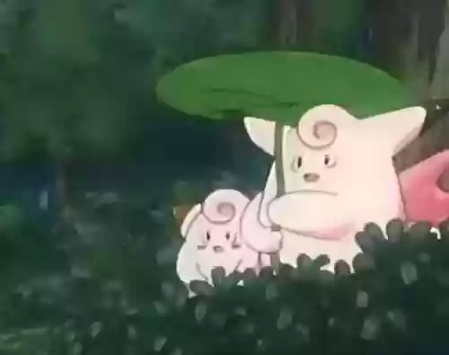 碧蓝的宝可梦阵容推荐(宝可梦t0阵容)插图1