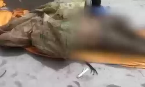巨人观图片(法医为什么害怕巨人观)插图3 巨人观图片(法医为什么害怕巨人观)插图3
