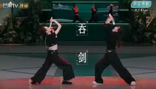 集体翻车阵容大全名字(老艺术家集体翻车了)插图35